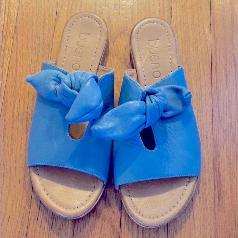 Blue Leather Flats
